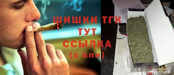 дживик Чегем