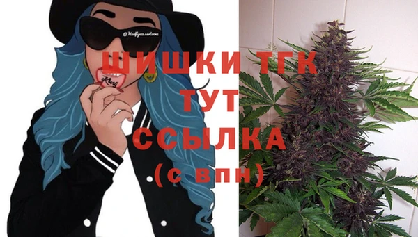 mix Лабытнанги