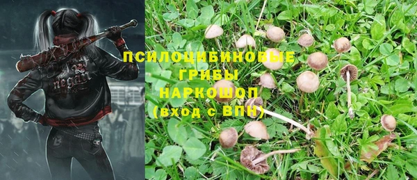 mix Лабытнанги