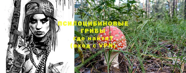 mix Лабытнанги